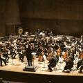 אהבה, קשר ותקשורת - התזמורת הסימפונית ירושלים